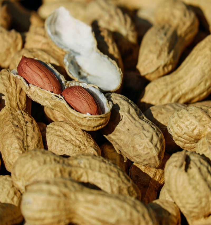 nuts